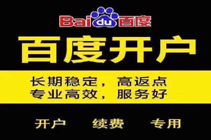 某品牌SEM广告投放的ROI提升案例